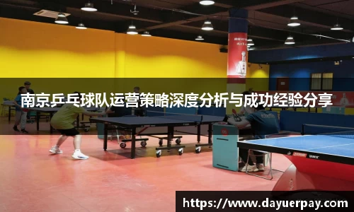 南京乒乓球队运营策略深度分析与成功经验分享